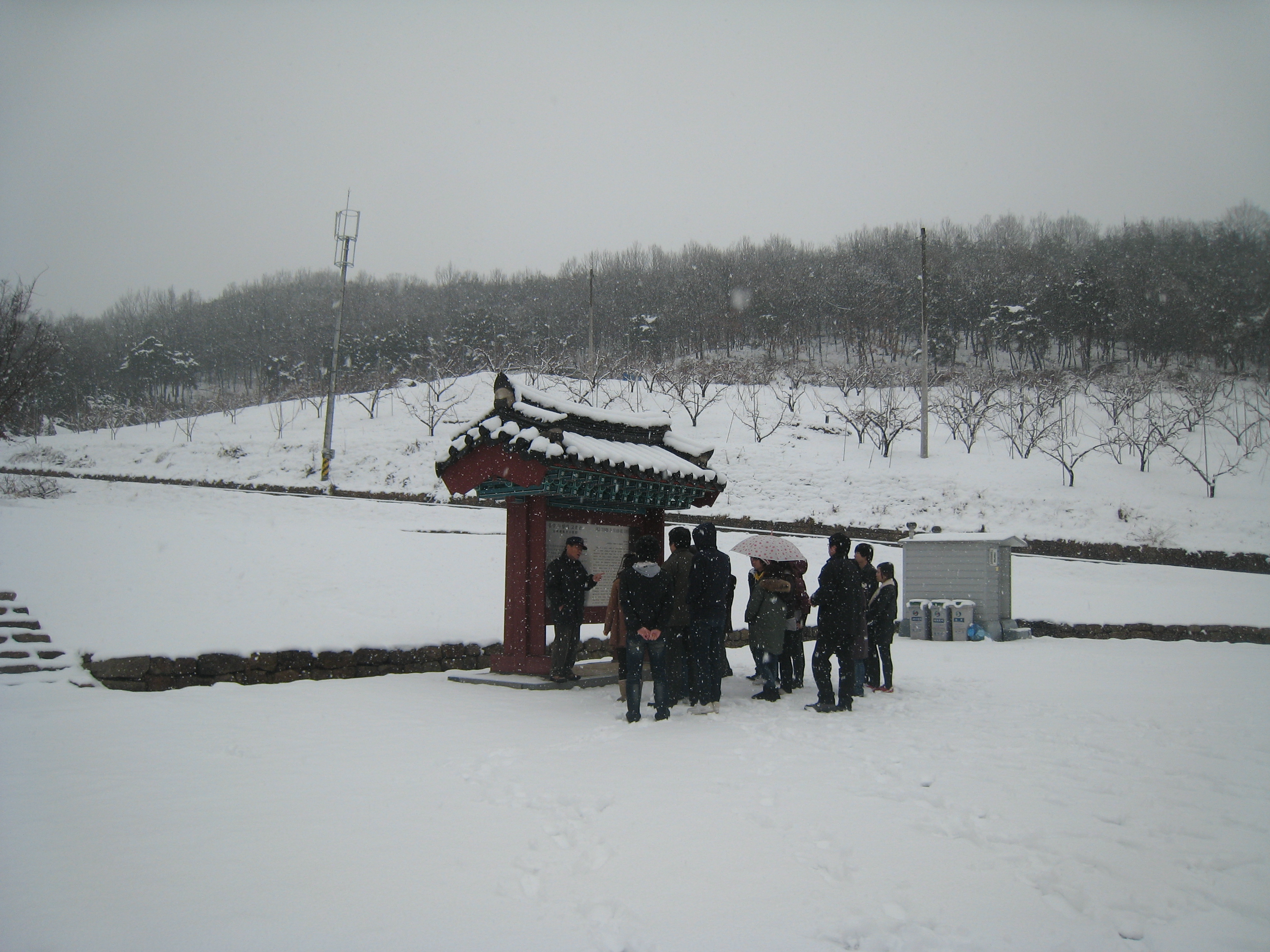 역사문화탐방 "중원의 불교문화"