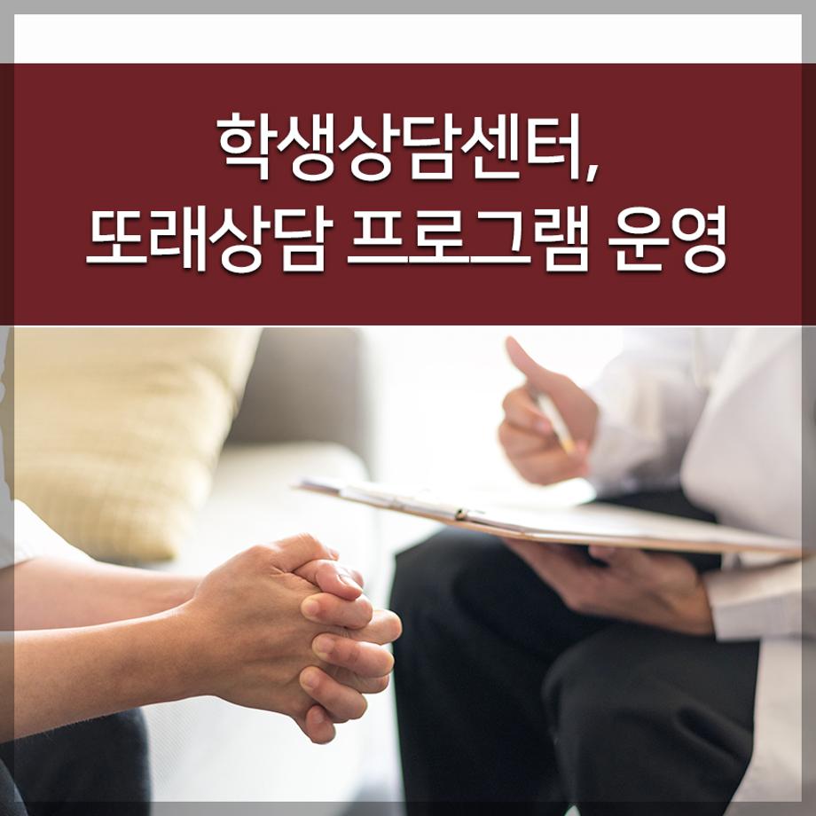 학생상담센터, 또래상담 프로그램 운영