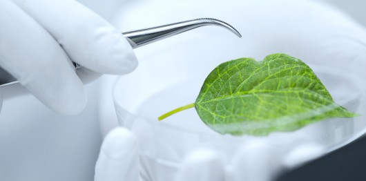 Department of Environmental Engineering