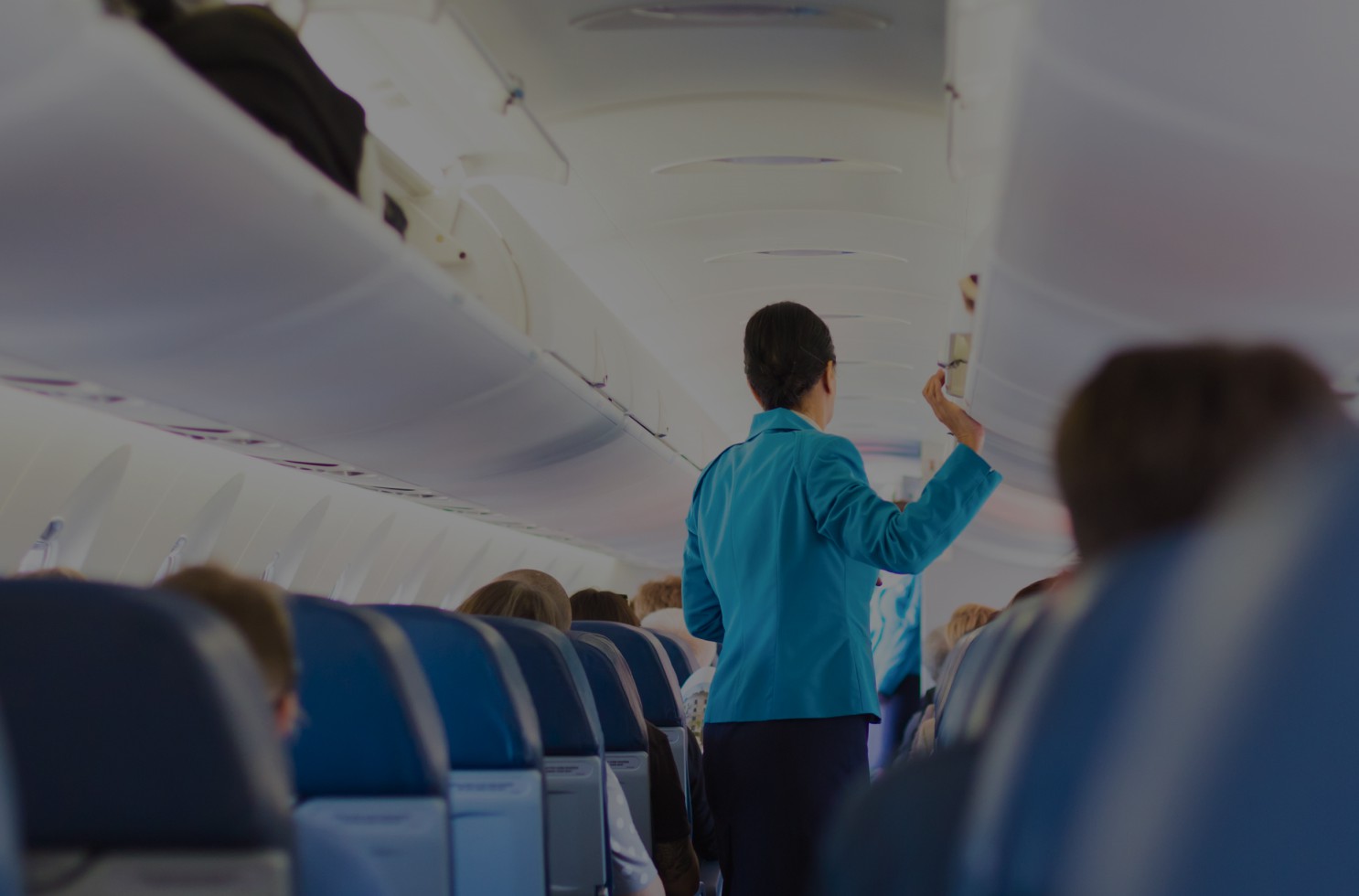 Department of Airline service