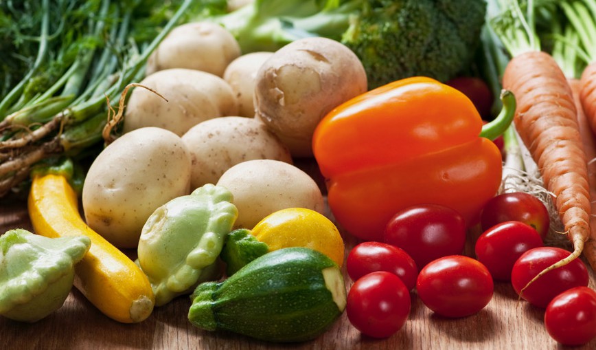 Major in Food and Nutrition